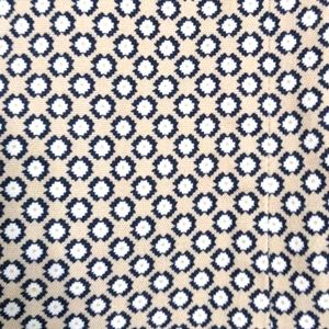 Banana republic capri chinos